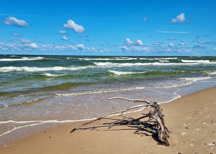 Plaża w Rowach, Polska. Aut. Rainer Schütz z Flickr