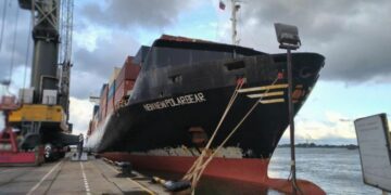 Newnew Polarbear fot. NewNew Shipping Line